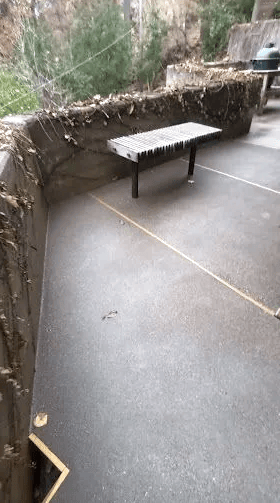 Greenville SC Concrete concrete contractor in Greenville - concrete pouring